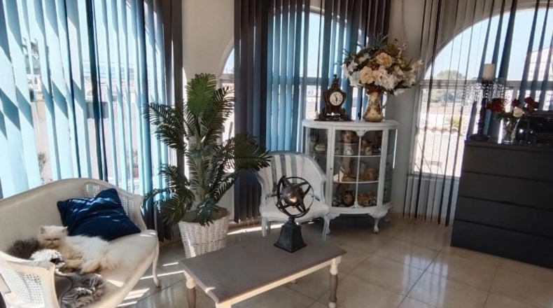Alicante - Torrevieja - 310m2
