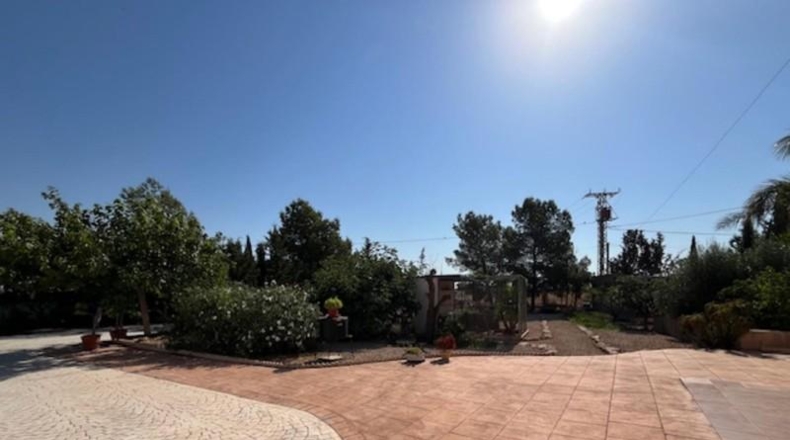 Murcia - Fuente Álamo de Murcia - 401m2