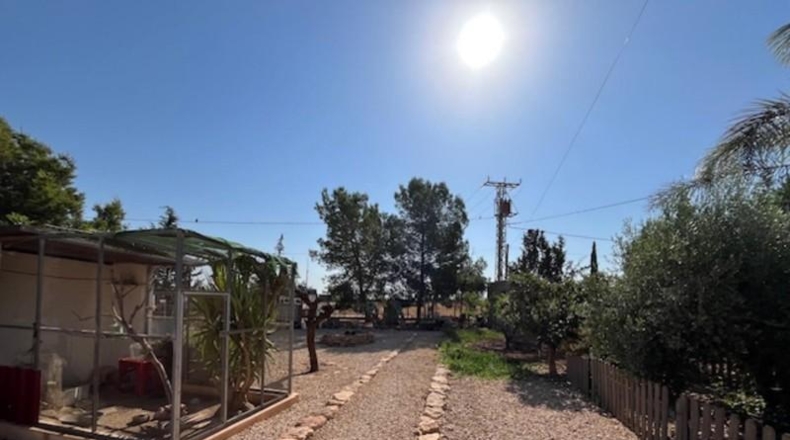 Murcia - Fuente Álamo de Murcia - 401m2