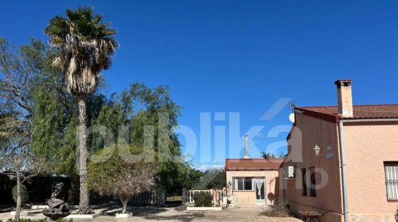 Alicante - Elche - 2150m2