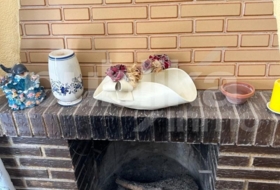 Foto 8