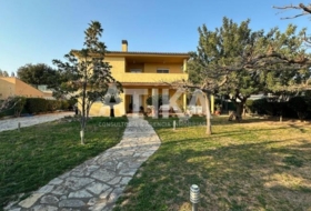 Ontinyent 1000&nbsp;м²