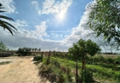Casa de camp amb terreny en venda a la España, Jerez de la Frontera, ref.: TR388596 foto