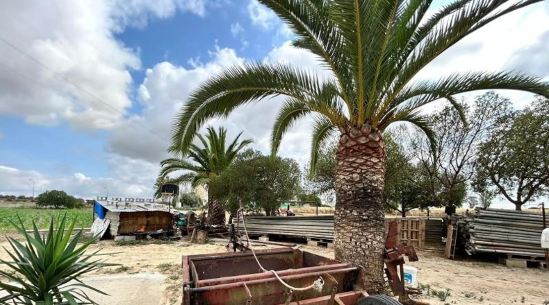 Cádiz - Jerez de la Frontera - 57000m2
