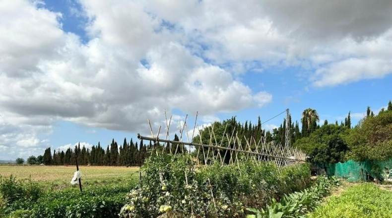 Cádiz - Jerez de la Frontera - 57000m2