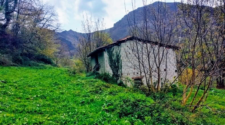 Asturias - Bezanes - 16097m2