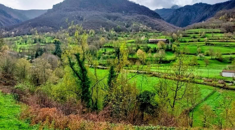 Asturias - Bezanes - 16097m2