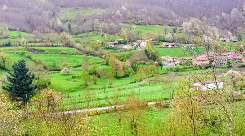 Asturias - Bezanes - 16097m2
