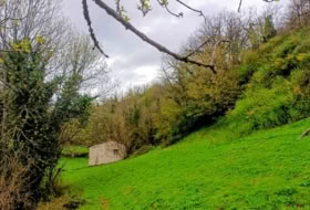 Foto 12