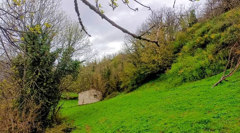 Asturias - Bezanes - 16097m2