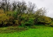 Stone house with land for sale on Carretera Riaño - Puerto de Tarna, Bezanes, ref: TR389432 photo