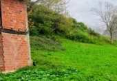 Stone house with land for sale on Carretera Riaño - Puerto de Tarna, Bezanes, ref: TR389432 photo
