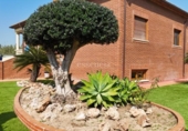 Detached villa with land for sale on España, Gandia, ref: TR389187 photo