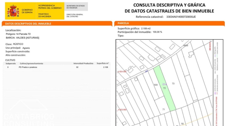 Asturias - La Candanosa (Barcia) - 1900m2