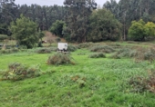 Non-developable land for sale in Torrelavega ref: TR388841 photo