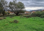 Non-developable land for sale in Torrelavega ref: TR388841 photo