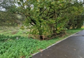 Non-developable land for sale in Torrelavega ref: TR388841 photo
