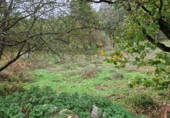 Non-developable land for sale in Torrelavega ref: TR388841 photo