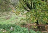 Non-developable land for sale in Torrelavega ref: TR388841 photo