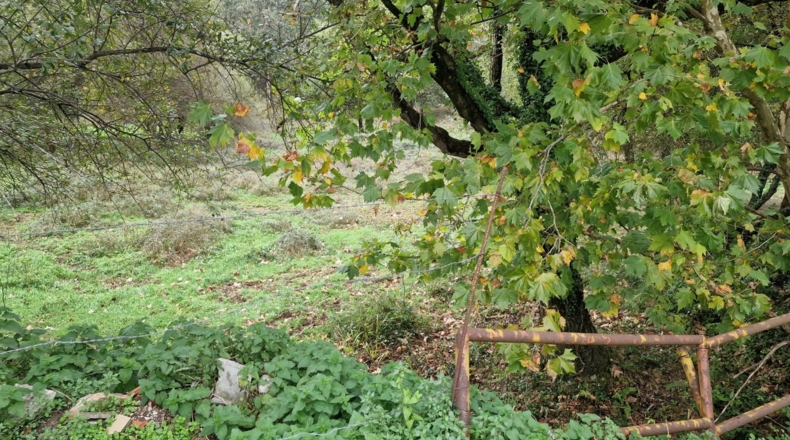 Cantabria - Баррио де Сан Хиль - 12162m2