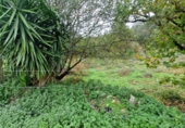 Non-developable land for sale in Torrelavega ref: TR388841 photo