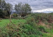 Non-developable land for sale in Torrelavega ref: TR388841 photo