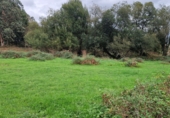 Non-developable land for sale in Torrelavega ref: TR388841 photo