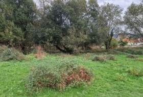 Foto 13