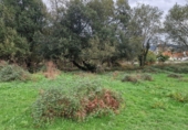 Non-developable land for sale in Torrelavega ref: TR388841 photo