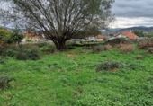 Non-developable land for sale in Torrelavega ref: TR388841 photo