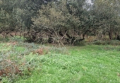 Non-developable land for sale in Torrelavega ref: TR388841 photo