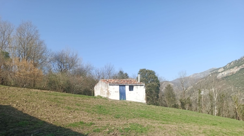 Asturias - Carreña - 47986m2