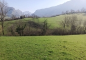 Rural estate for sale on España, Arenas de Cabrales, ref: TR388648 photo