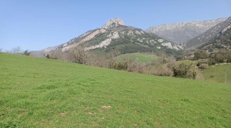Asturias - Carreña - 47986m2