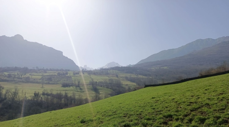 Asturias - Carreña - 47986m2