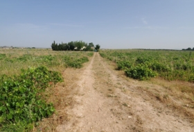 Каррион-де-Калатрава 124498&nbsp;м²