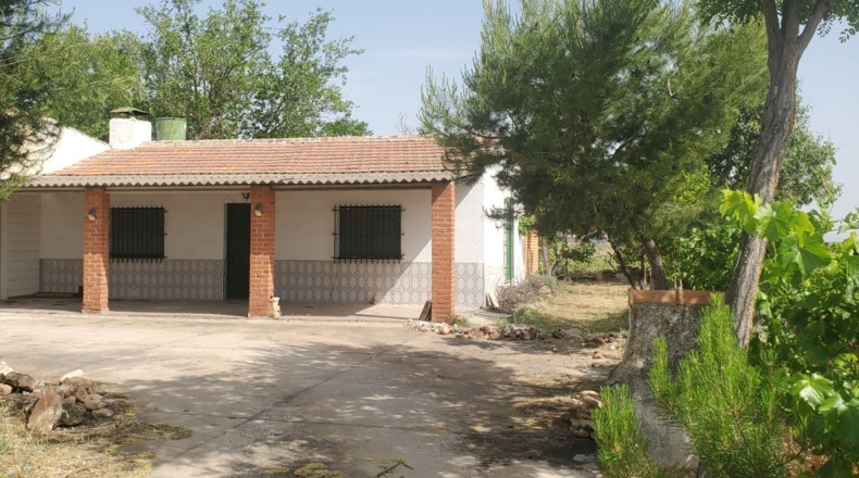 Ciudad Real - Каррион-де-Калатрава - 124498m2