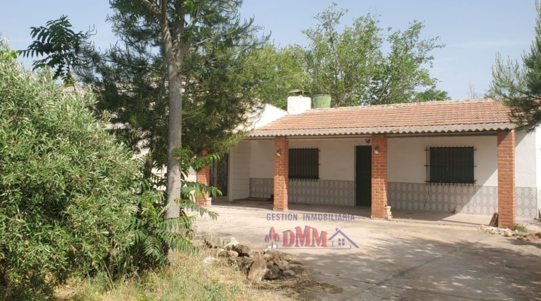 Ciudad Real - Каррион-де-Калатрава - 124498m2