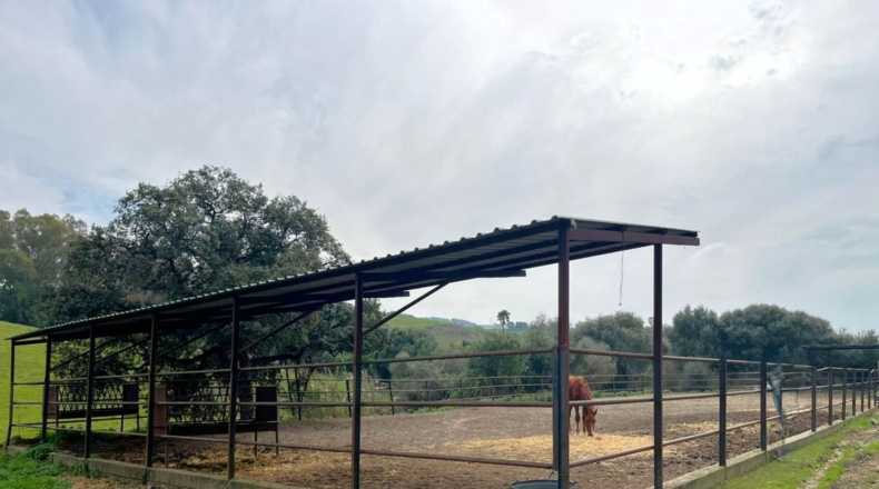 Cádiz - Jimena de la Frontera - 54000m2