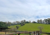 Rural estate for sale in Jimena de la Frontera ref: TR389072 photo