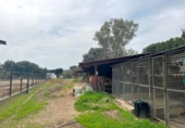 Rural estate for sale in Jimena de la Frontera ref: TR389072 photo