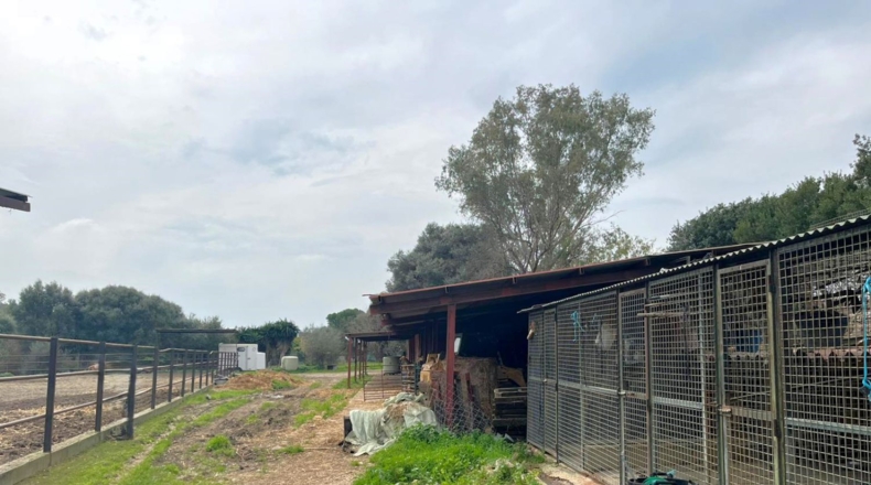Cádiz - Jimena de la Frontera - 54000m2
