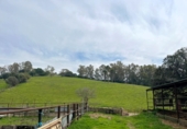 Rural estate for sale in Jimena de la Frontera ref: TR389072 photo