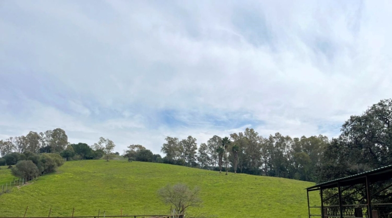 Cádiz - Jimena de la Frontera - 54000m2