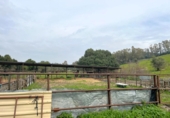 Rural estate for sale in Jimena de la Frontera ref: TR389072 photo