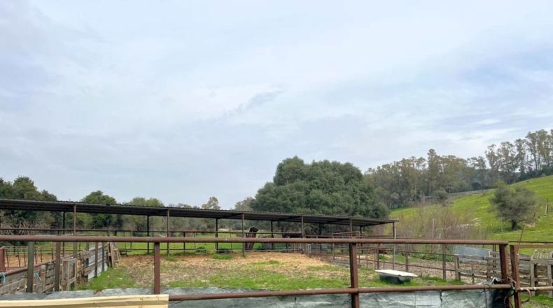 Cádiz - Jimena de la Frontera - 54000m2