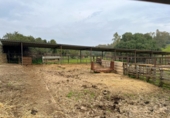 Rural estate for sale in Jimena de la Frontera ref: TR389072 photo