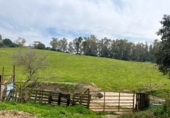 Rural estate for sale in Jimena de la Frontera ref: TR389072 photo