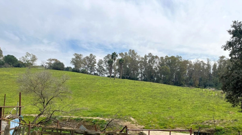 Cádiz - Jimena de la Frontera - 54000m2