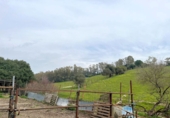 Rural estate for sale in Jimena de la Frontera ref: TR389072 photo